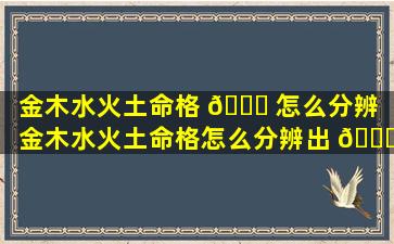 金木水火土命格 🐎 怎么分辨（金木水火土命格怎么分辨出 🐘 来）
